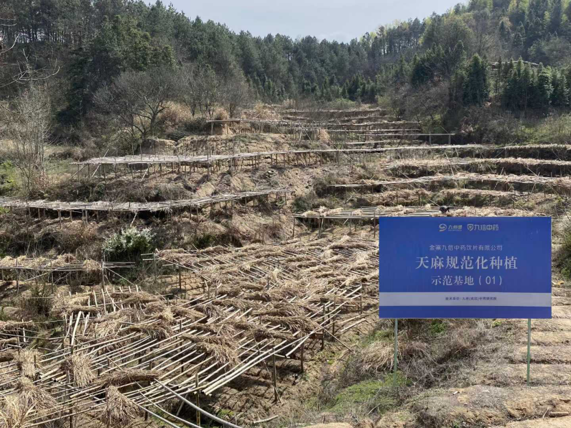 宝马bm1122线路顶级(中国游)有限公司官网
